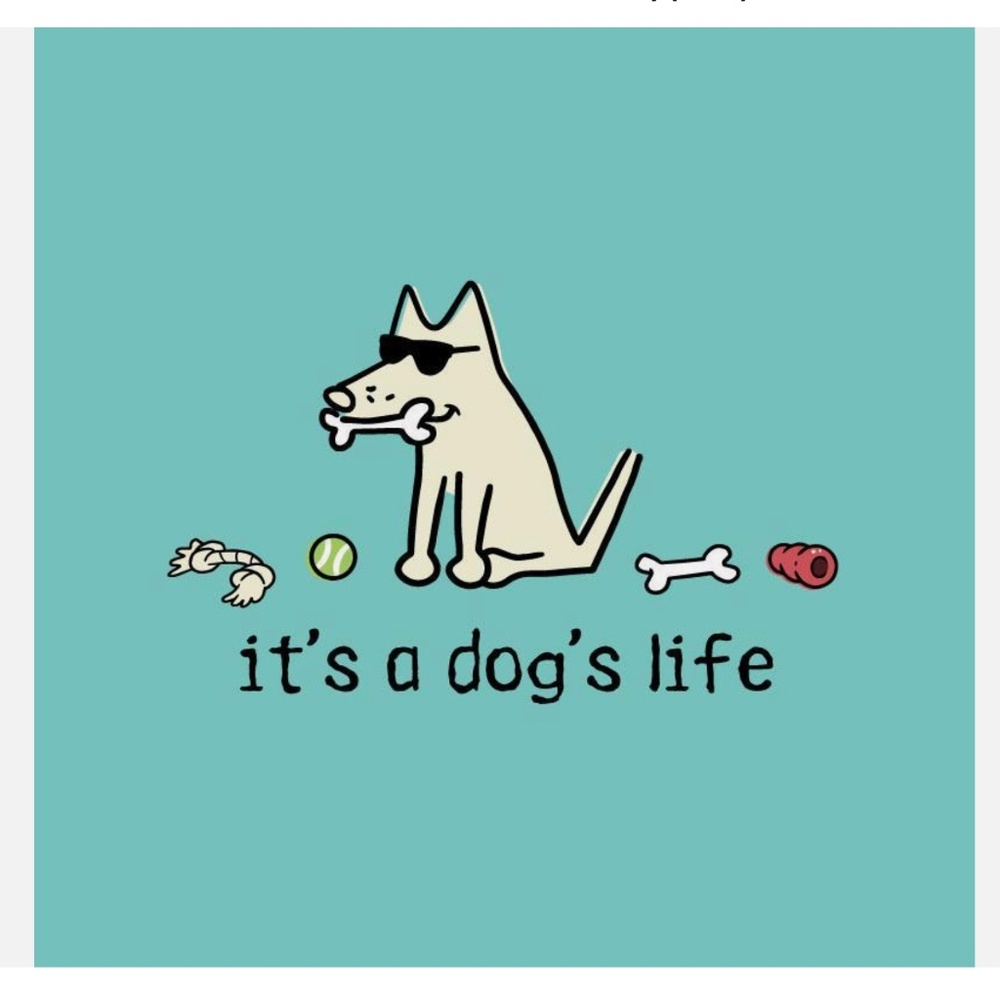Teddy The Dog - It’s a dogs life - V neck curvy T Shirt